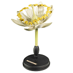 Статуэтка Tilia варинант исполнения - 3 | Loft Concept в Омске