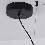 Люстра подвесная светодиодная черный металл Ring Horizontal варинант исполнения - 13 | Loft Concept в Омске