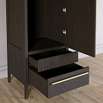 Узкий Шкаф Primo с 2 выдвижными ящиками Темный орех варинант исполнения - 5 | Loft Concept в Омске