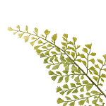 Декоративный искусственное растение Dried flower варинант исполнения - 3 | Loft Concept в Омске