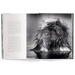 Книга Beusker. Look into my Eyes варинант исполнения - 3 | Loft Concept в Омске