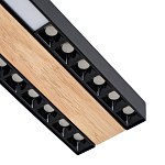 Потолочный светильник черный GAVIN WOOD 1 варинант исполнения - 2 | Loft Concept в Омске