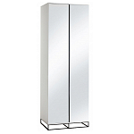 Двухдверный шкаф с зеркальными дверцами Strict Lines варинант исполнения - 5 | Loft Concept в Омске