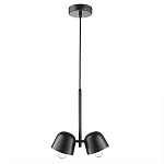 Подвесной светильник черный с 2-мя плафонами Pendant lamp Black варинант исполнения - 1 | Loft Concept в Омске