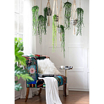 Диван Mesotrope варинант исполнения - 7 | Loft Concept в Омске