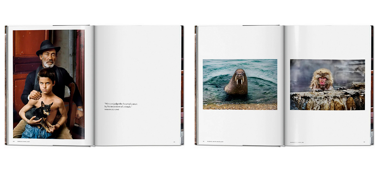 Steve McCurry. Animals Steve McCurry. Animals - Loft-Concept в Омске