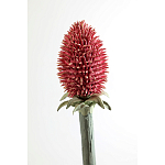 Статуэтка тропический фрукт Pandora Tropical Fruit Orange Red Round варинант исполнения - 3 | Loft Concept в Омске