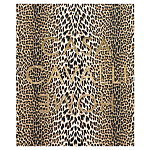 Редкое коллекционное издание Casa Cavalli Home: Celebrating the Roberto Cavalli Lifestyle Леопард варинант исполнения - 1 | Loft Concept в Омске
