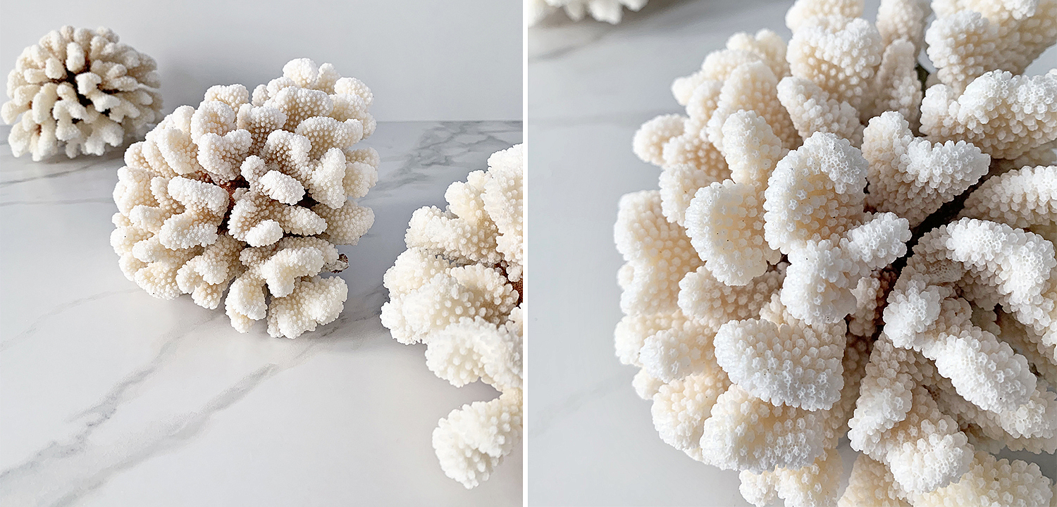 Статуэтка Brownstem Coral Статуэтка Brownstem Coral - Loft-Concept в Омске