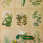 Обои ручная роспись Botanical Studies Linnaeus colourway варинант исполнения - 3 | Loft Concept в Омске