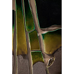 Панно «Амазония» варинант исполнения - 3 | Loft Concept в Омске