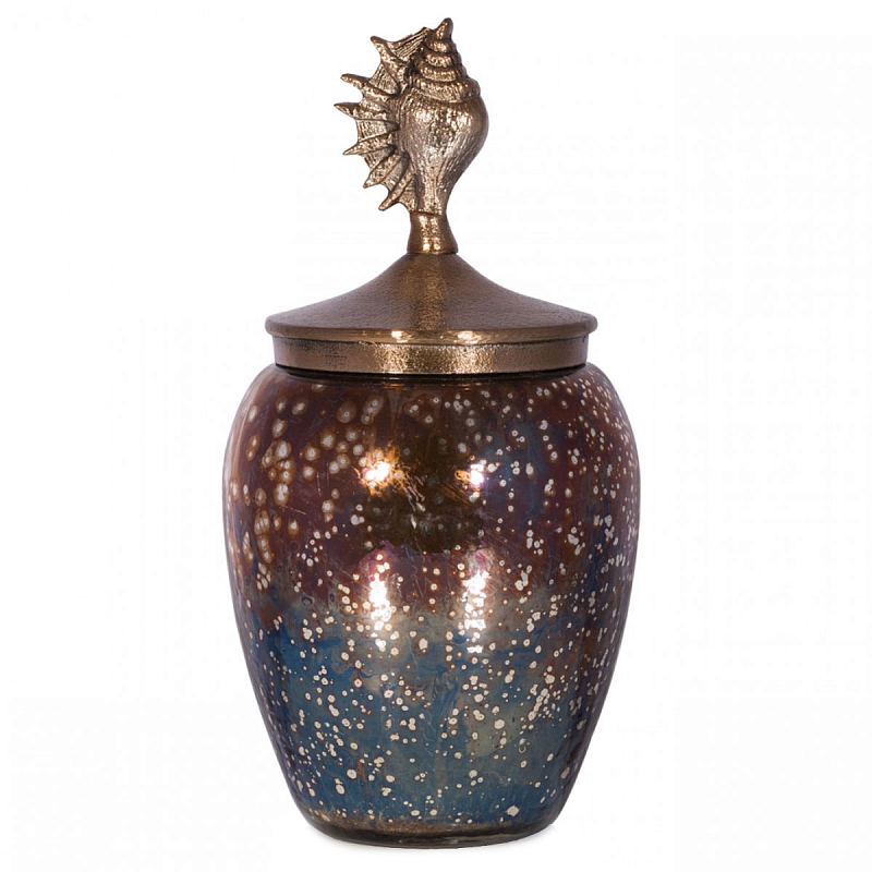 БАНКА С КРЫШКОЙ SEA SHELL COSMOS Золотой Коричневый БАНКА С КРЫШКОЙ SEA SHELL COSMOS Золотой Коричневый в Омске | Loft Concept