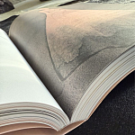 Лимитированное издание Иллюстрации модного дома Book: Dior par Mats Gustafson Vol. II Maria Grazia Chiuri варинант исполнения - 3 | Loft Concept в Омске