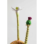 Статуэтка тропический фрукт Pandora Tropical Fruit Orange Two Flowers варинант исполнения - 2 | Loft Concept в Омске