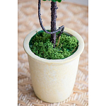 Декоративный искусственное растение Single boxwood варинант исполнения - 6 | Loft Concept в Омске