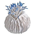 Статуэтка тропический фрукт Tropical Fruit White Blue варинант исполнения - 2 | Loft Concept в Омске