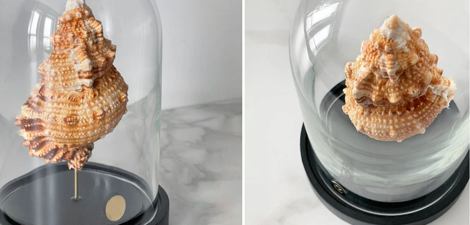 Статуэтка Bursa Rubeta Glass Cloche Статуэтка Bursa Rubeta Glass Cloche - Loft-Concept в Омске