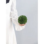 Декоративный искусственное растение Small boxwood варинант исполнения - 3 | Loft Concept в Омске