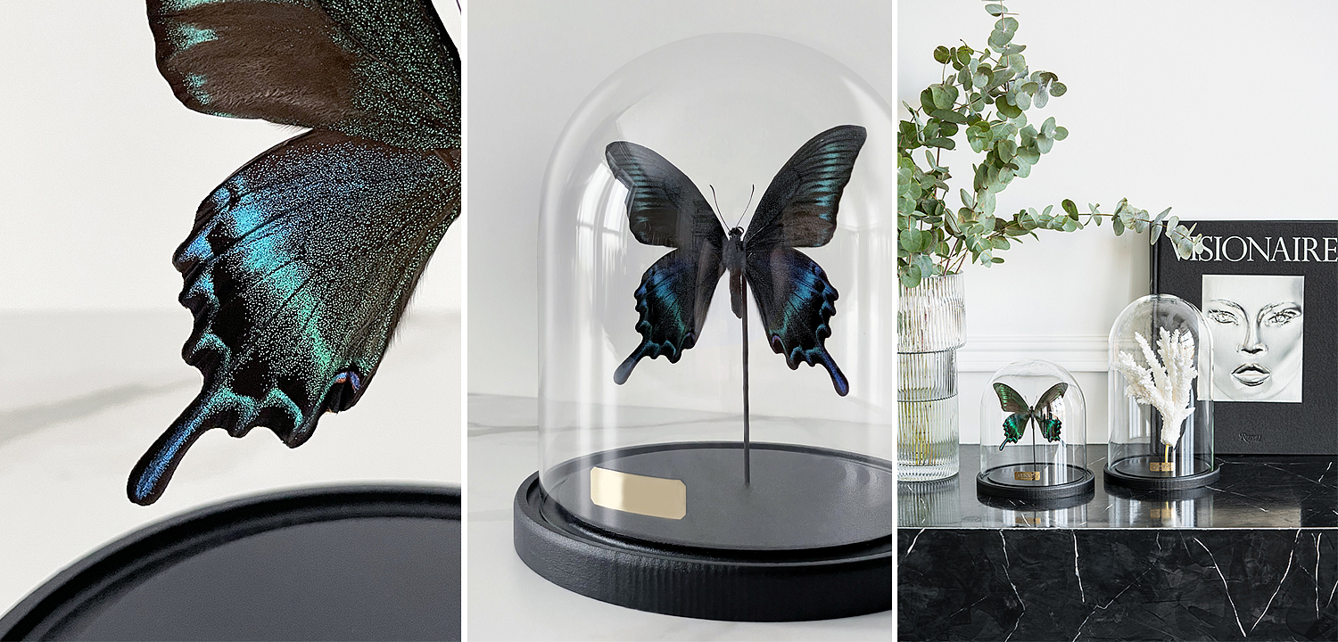 Статуэтка Butterfly Sailboat Maaka Glass Cloche Статуэтка Butterfly Sailboat Maaka Glass Cloche - Loft-Concept в Омске