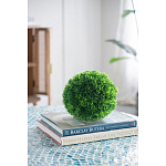 Декоративный искусственное растение Round boxwood варинант исполнения - 6 | Loft Concept в Омске