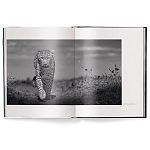 Книга Beusker. Look into my Eyes варинант исполнения - 1 | Loft Concept в Омске