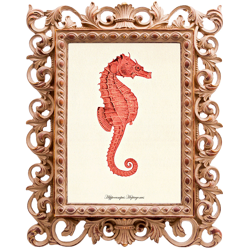 Постер Red Seahorse Poster Бежевый Красный Постер Red Seahorse Poster Бежевый Красный в Омске | Loft Concept