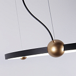 Люстра подвесная светодиодная черный металл Ring Horizontal варинант исполнения - 4 | Loft Concept в Омске