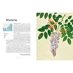Прекрасно иллюстрированная книга более 100 ботанических произведений Plant Hunters Atlas варинант исполнения - 4 | Loft Concept в Омске