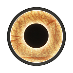 Бра круглое Gold Sun Lighting  варинант исполнения - 1 | Loft Concept в Омске