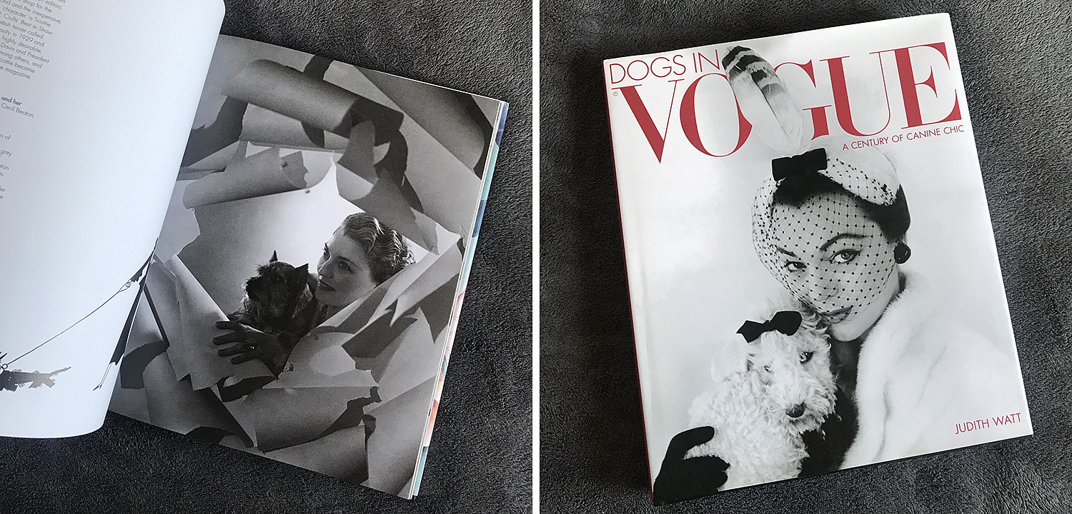 Dogs in Vogue A Century of Canine Chic - Loft-Concept в Омске