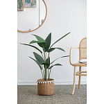 Декоративный искусственное растение Decor Stile  варинант исполнения - 5 | Loft Concept в Омске