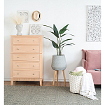 Декоративный искусственное растение Decor Stile  варинант исполнения - 4 | Loft Concept в Омске