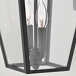 Настенный фонарь черного цвета с прозрачным стеклянным плафоном трапециевидной формы Hinkley варинант исполнения - 4 | Loft Concept в Омске